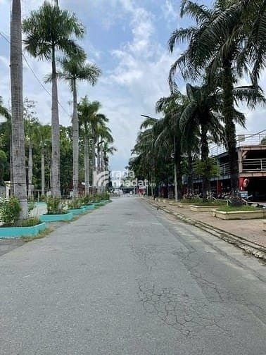 Chính chủ gấp bán 46m2 4t h5m lạc long quân phường3 q 11