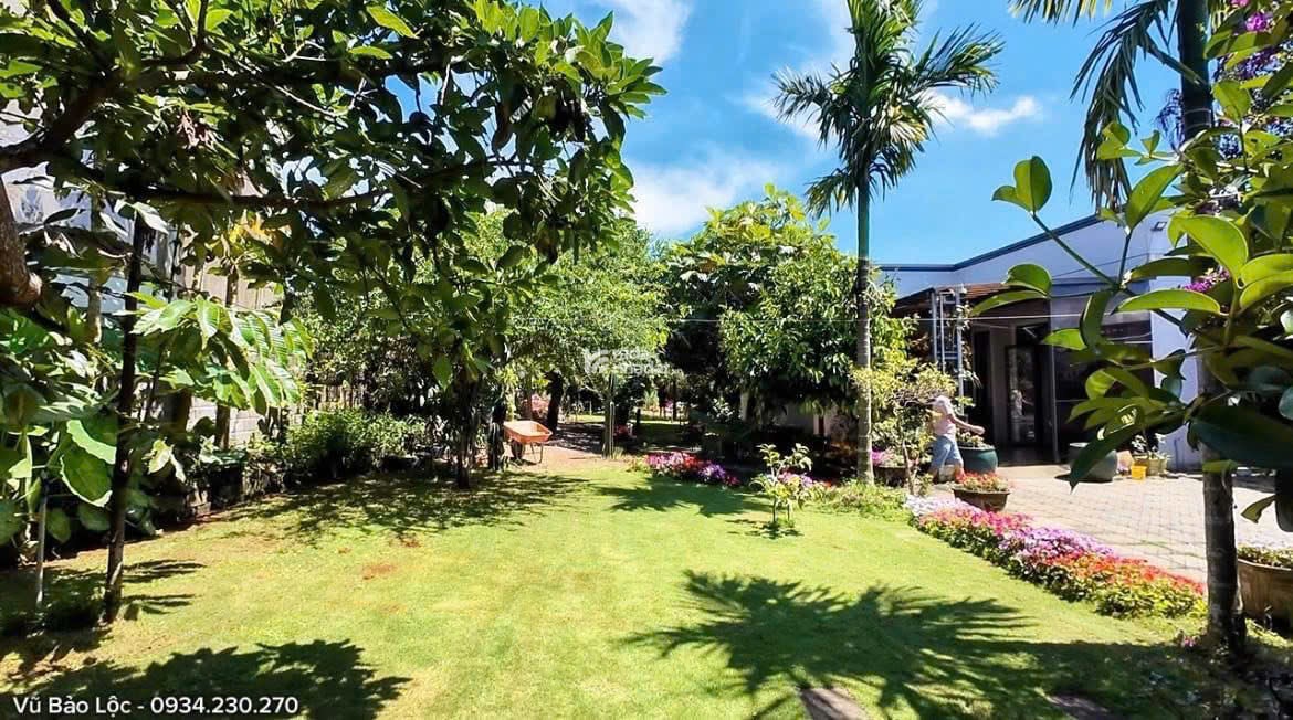 NHÀ VƯỜN 1.000m2 NGUYỄN TRI PHƯƠNG, PHƯỜNG 2, BẢO LỘC; GIÁ 8,6 TỶ (BAO SANG TÊN RA SỔ)