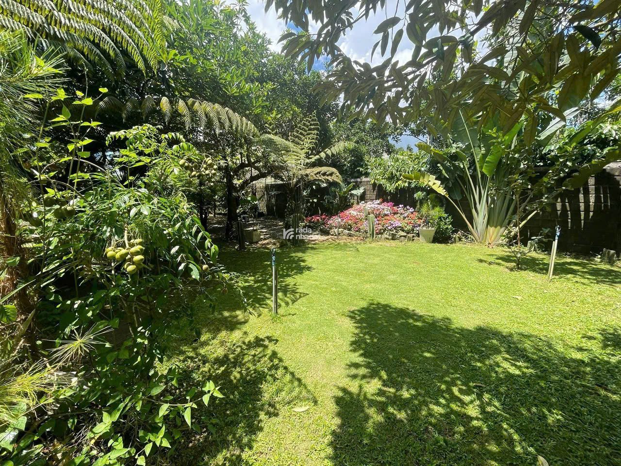 NHÀ VƯỜN 1.000m2 NGUYỄN TRI PHƯƠNG, PHƯỜNG 2, BẢO LỘC; GIÁ 8,6 TỶ (BAO SANG TÊN RA SỔ)