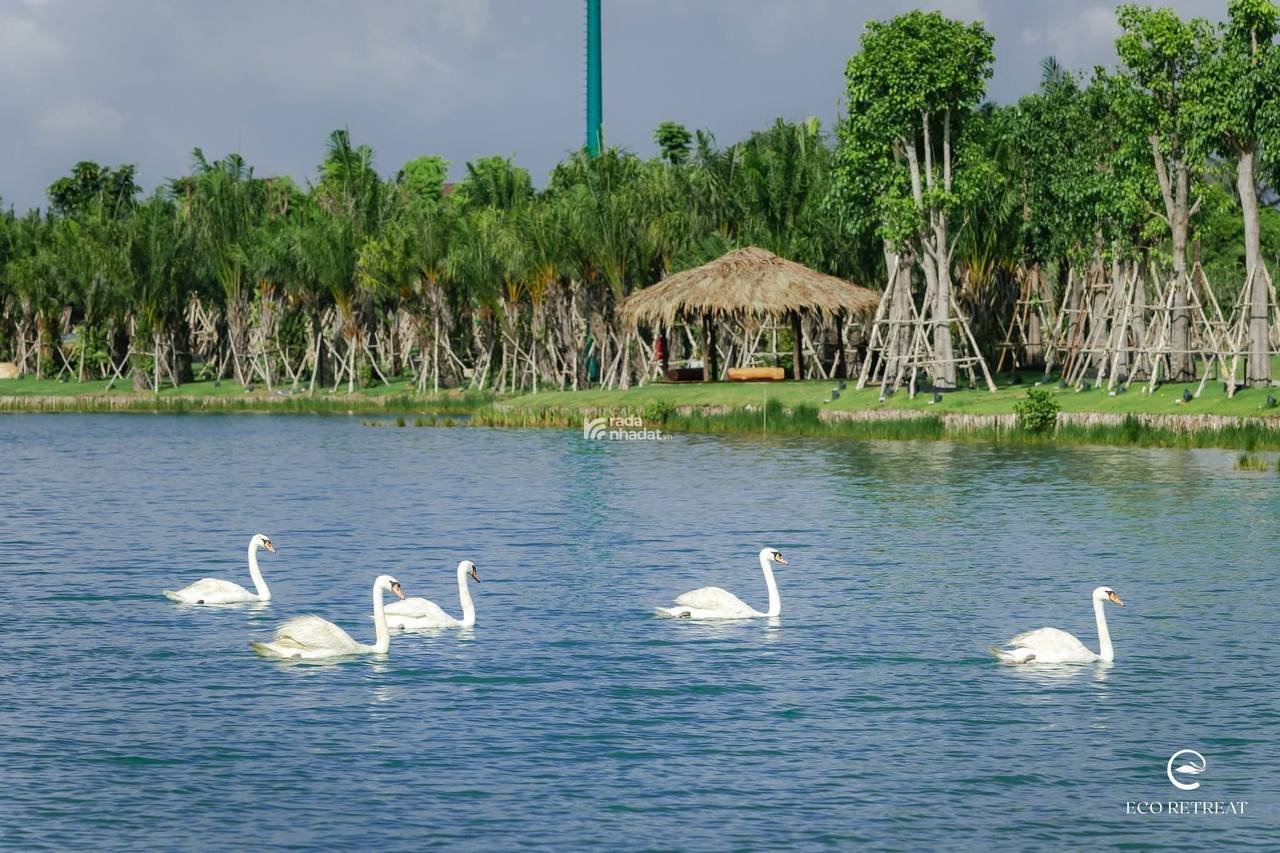 Biệt Thự Đảo Eco Retreat Một Sản Phẩm Cho Giới Tinh Hoa - Booking ngay nhận ưu đãi mở bán 