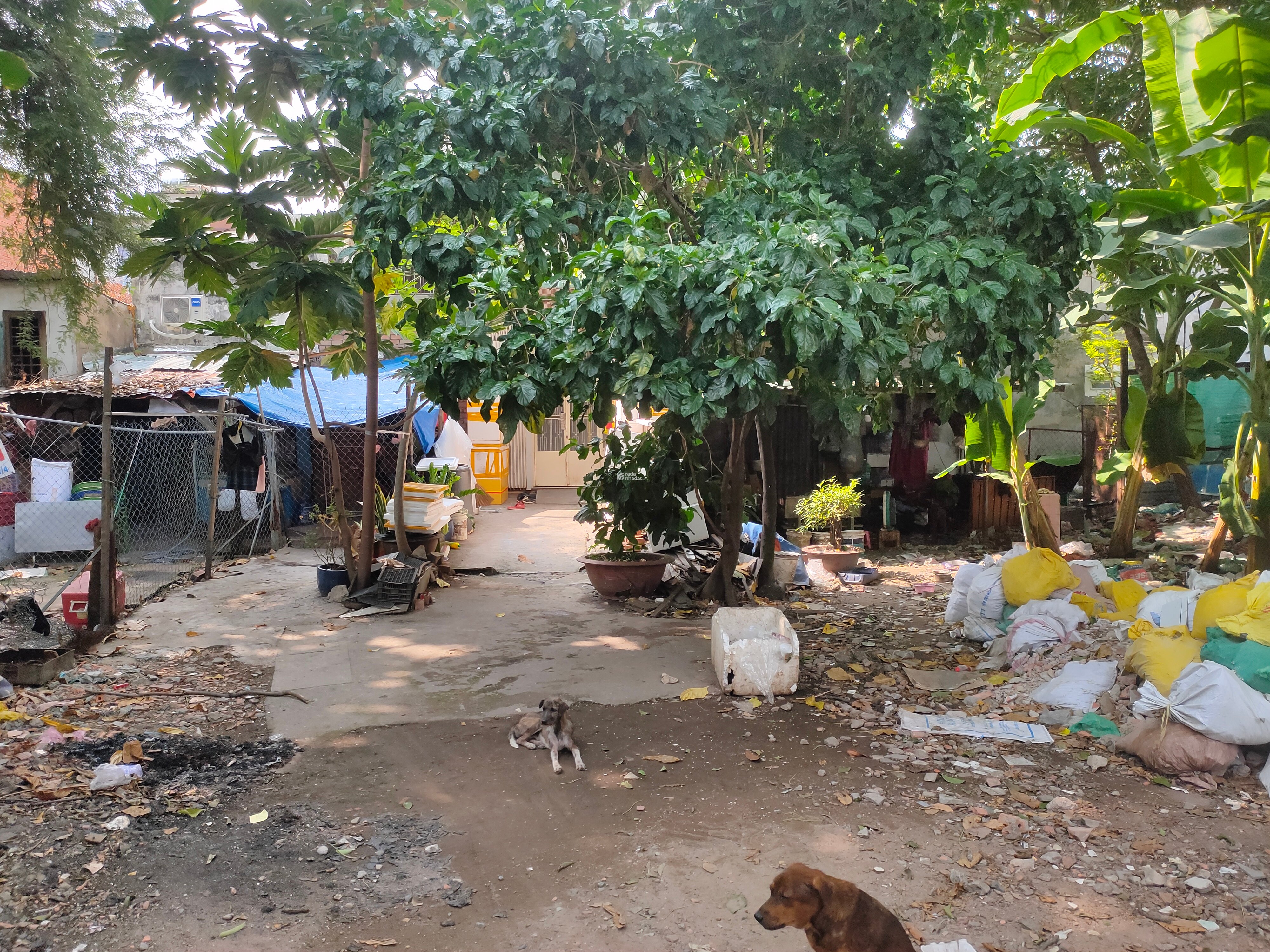 Đất thổ cư, 48m2  phường 14, Quận 6, tương lai ra mặt tiền đường 16m