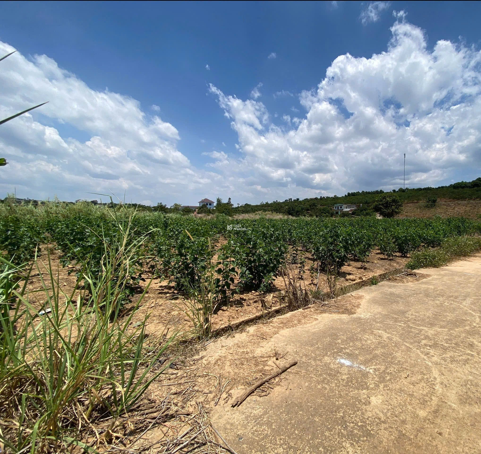  SỔ HỒNG TRAO TAY ĐÃ CÓ SẴN THỔ CƯ GIÁ 710TR