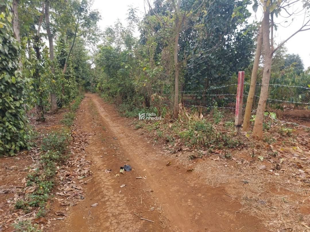 Đất Eatar, Cư M'Gar, ĐăkLăk (Thổ cư)