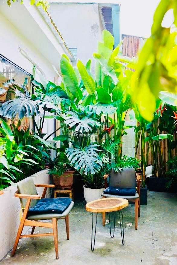 SIÊU PHẨM HXH NGUYỄN XÍ, BÌNH THẠNH, HOMESTAY 107M2 GIẢM 650TR CHỈ CÒN 24.789T TL 