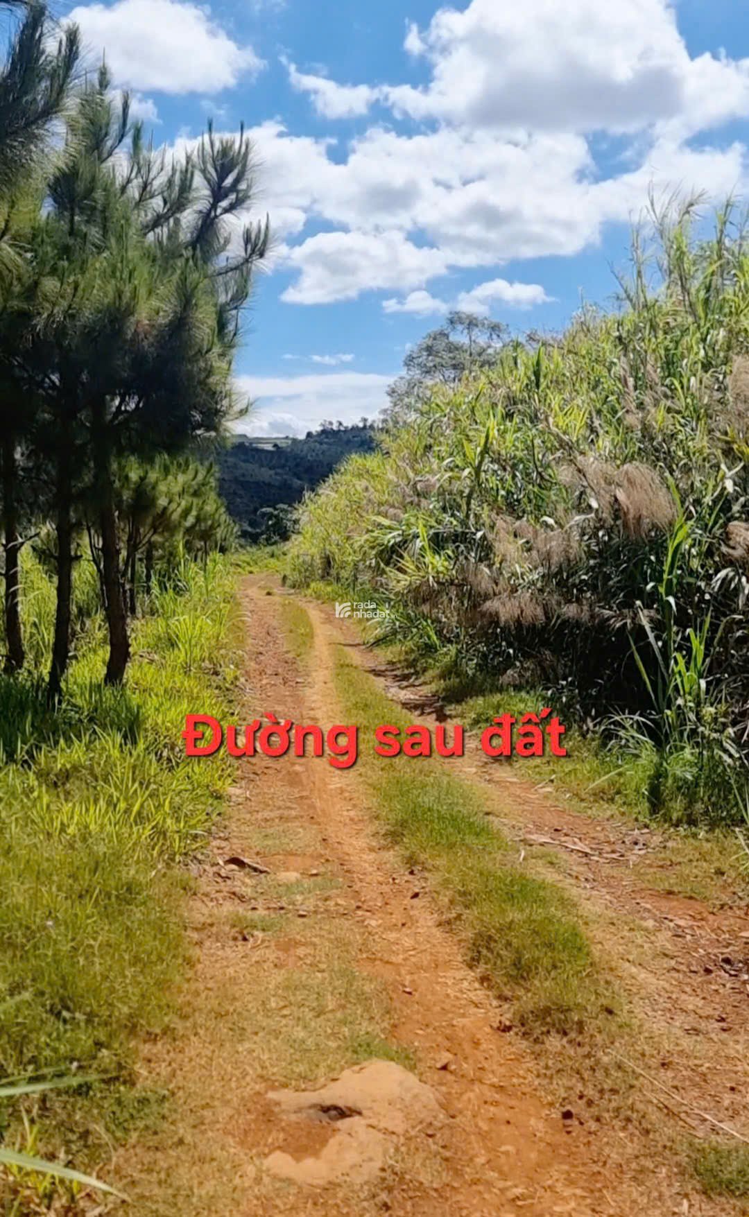 MT ĐƯỜNG VÀO HỒ NGỌC - PHƯỜNG 2 BẢO LỘC (GẦN HÒN ĐÁ BẢO LÂM)