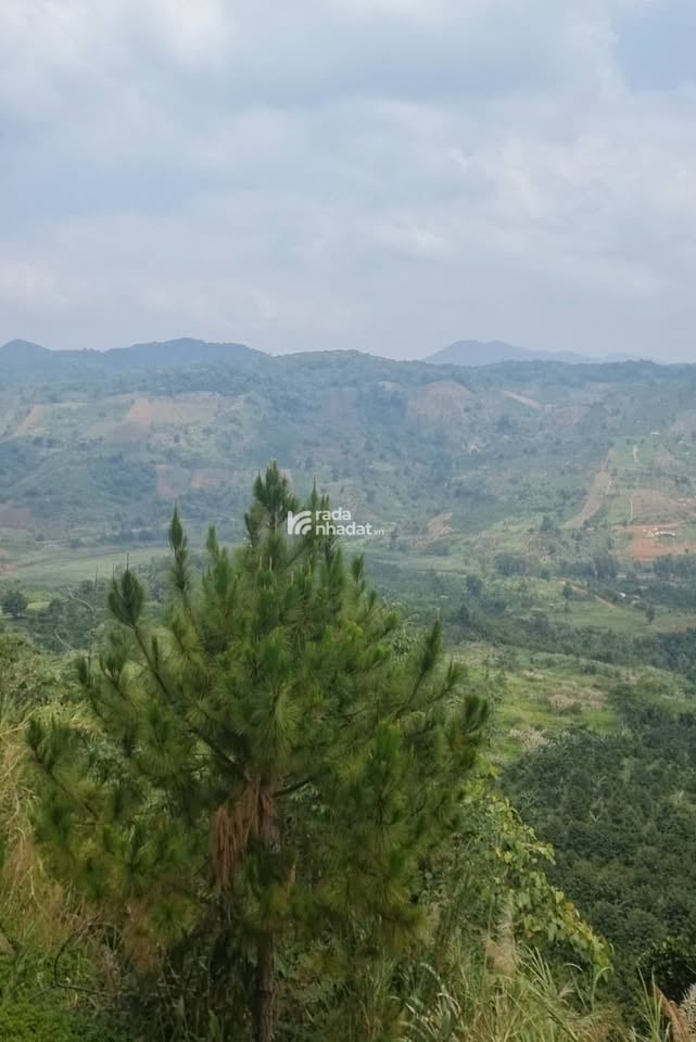 MT ĐƯỜNG VÀO HỒ NGỌC - PHƯỜNG 2 BẢO LỘC (GẦN HÒN ĐÁ BẢO LÂM)