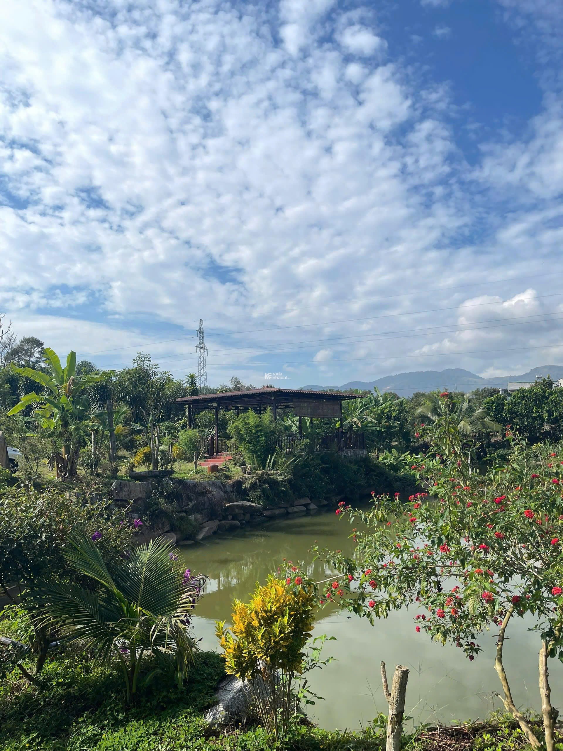 Đất nền nghỉ dưỡng bảo lộc, giá đang được triết khấu cao 