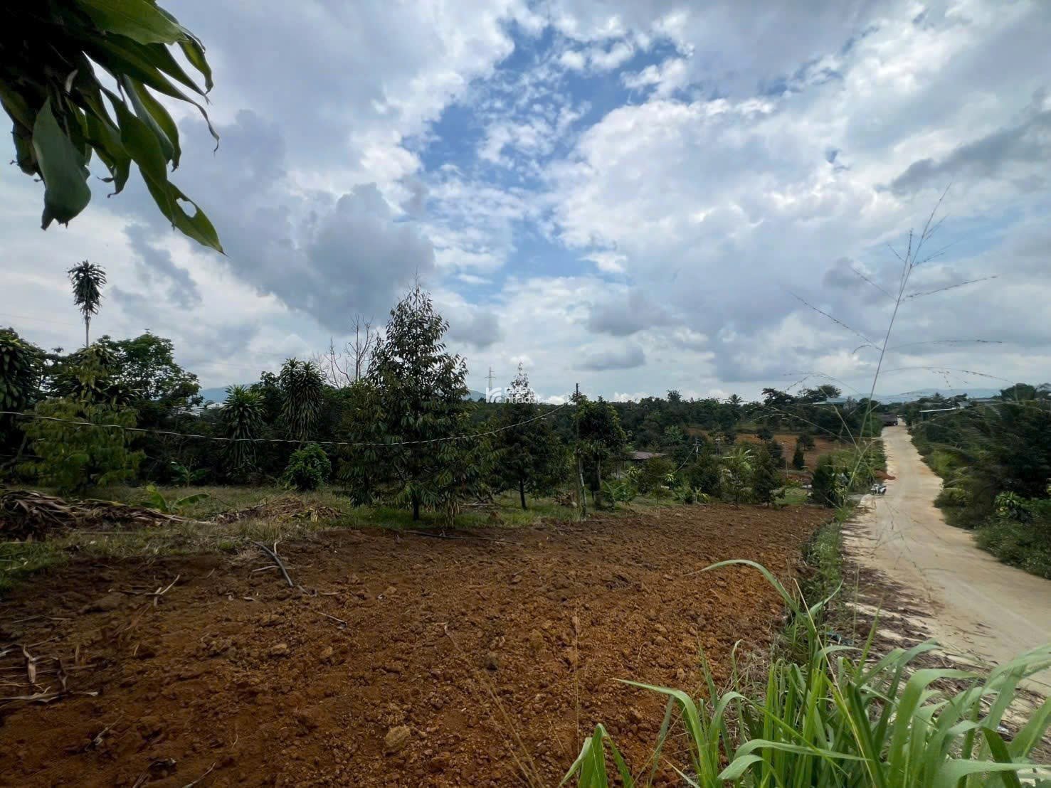 Đất nền nghỉ dưỡng bảo lộc, giá đang được triết khấu cao 