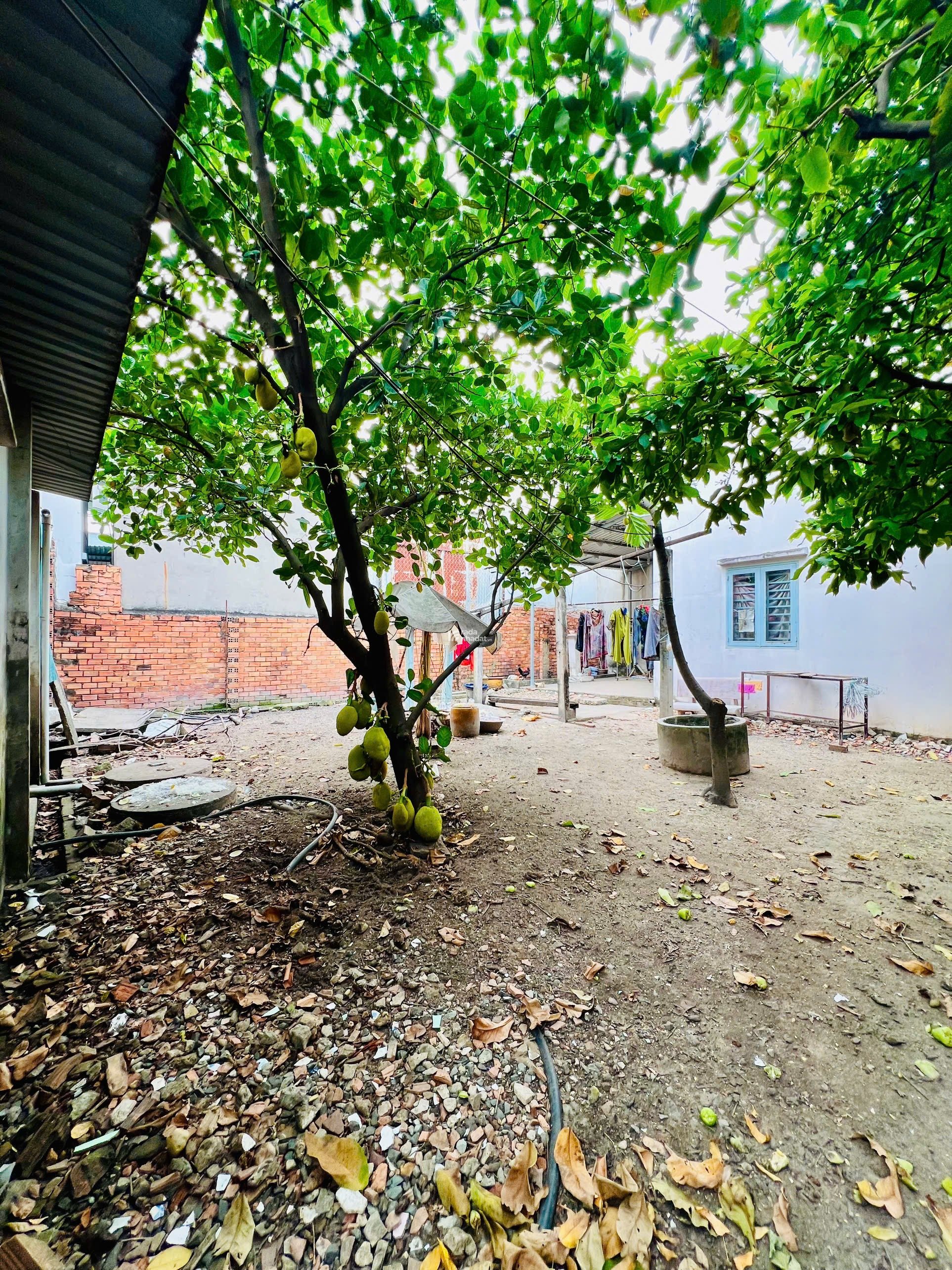 Bán Đất Khu Vực Hóc Môn 327m2 