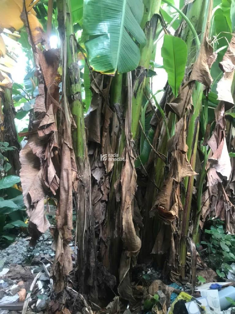 RA GẤP LÔ ĐẤT MẶT TIỀN VIEW CÔNG VIÊN KDC HIM LAM TRƯỜNG THỌ 5X20 CHỈ 10,5 TỶ.