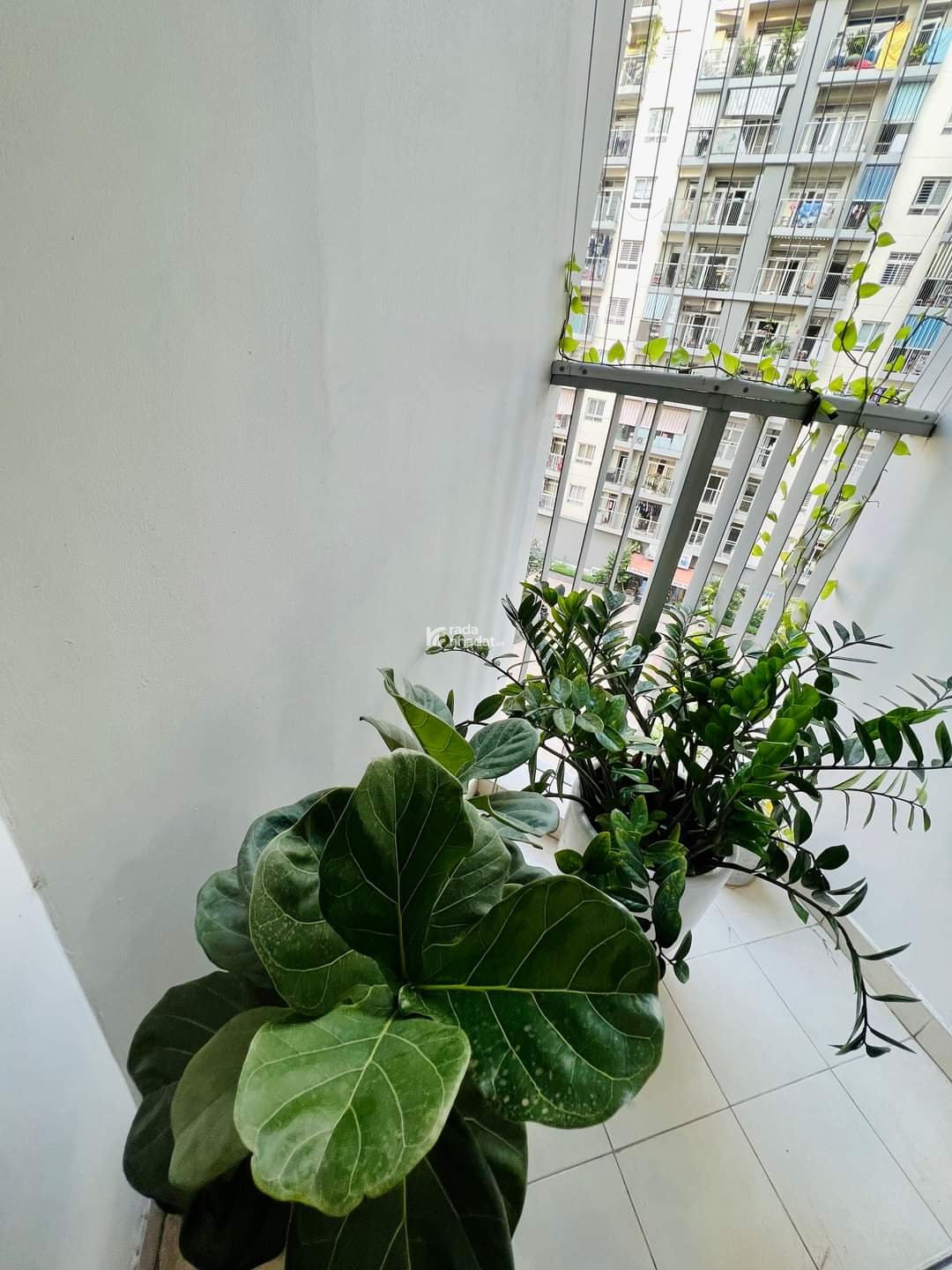 Chính chủ bán căn 3PN DT 86m2 chung cư Legend 109 Nguyễn Tuân, giá 7.5 tỷ, LH 0932 392 ***