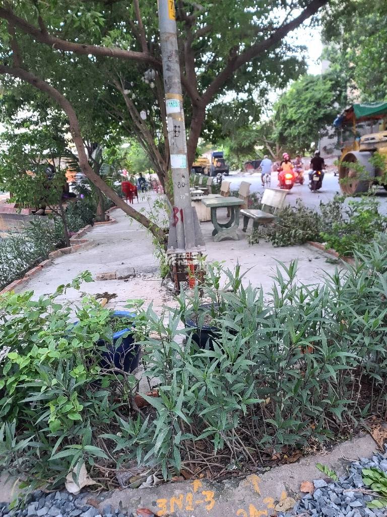 BÁN ĐẤT MẶT TIỀN ĐƯỜNG 50M2 PHƯỜNG AN LẠC QUẬN BÌNH TÂN SỔ RIÊNG FULL THỔ CƯ THÍCH HỢP XÂY NHÀ BÁN