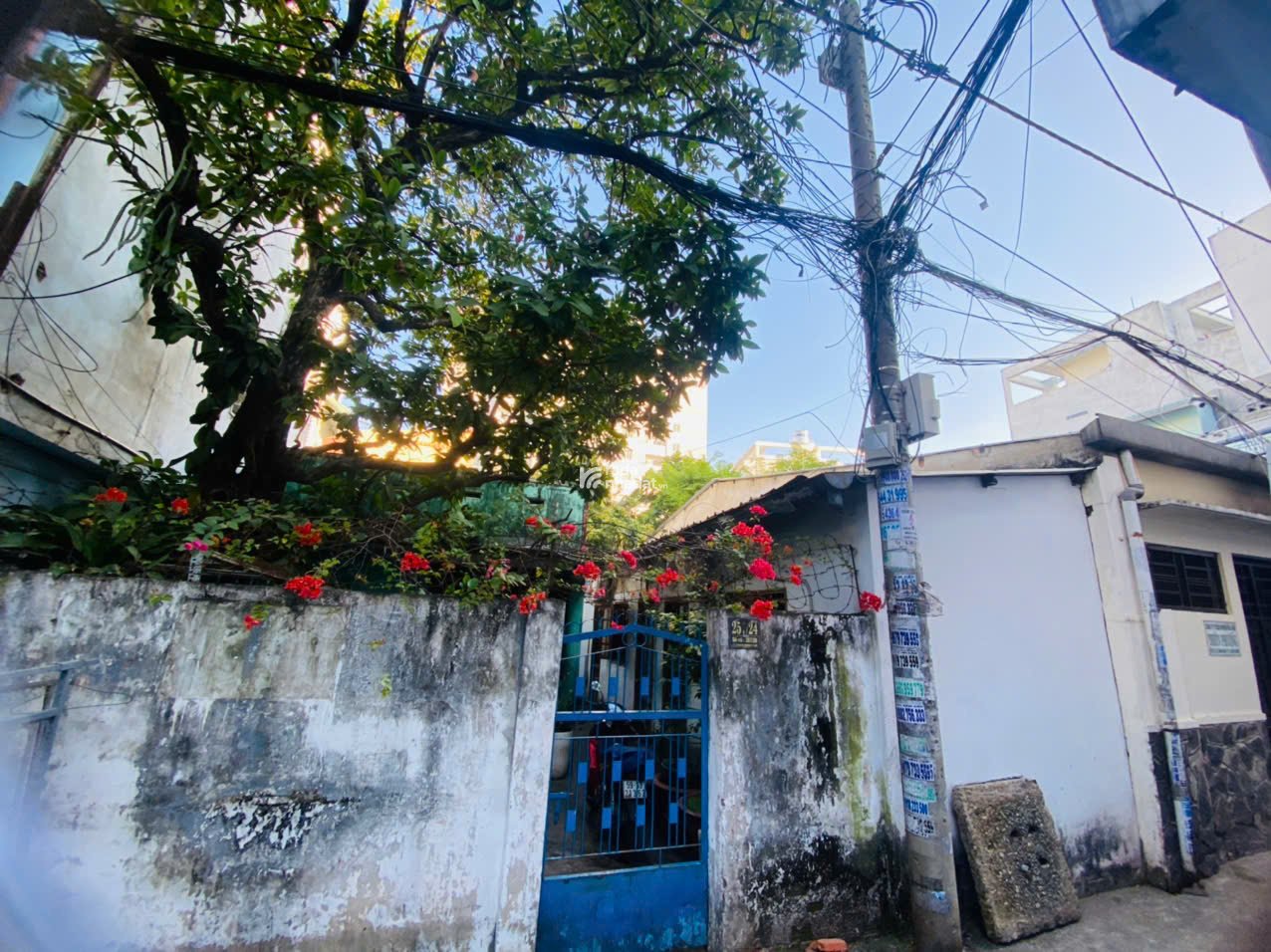 HOT Bán nhà cấp 4, HXH 257/ Lê Quang Định, P7, Bình Thạnh (Hẻm 251)