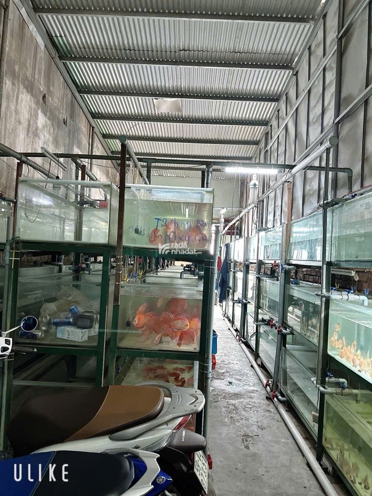Chỉ 70tr/m2  Lô Đất Đẹp 4,1 X 29m Full Thổ  Hẻm xe hơi 1 Trục Lê Đức Thọ  P 13 Gò Vấp
