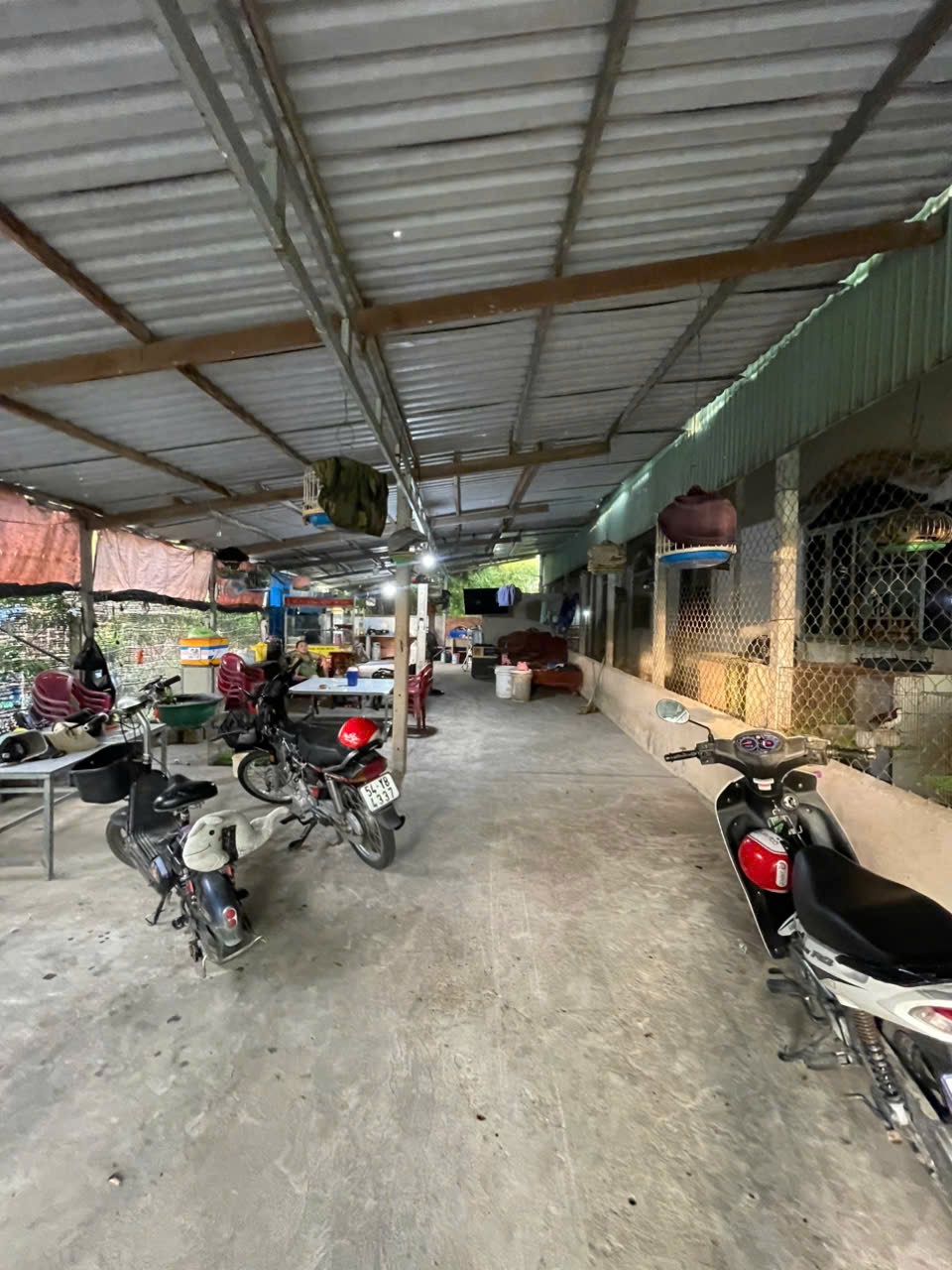 BÁN ĐẤT MẶT TIỀN ĐƯỜNG SỐ  PHƯỚC HIỆP, CỦ CHI