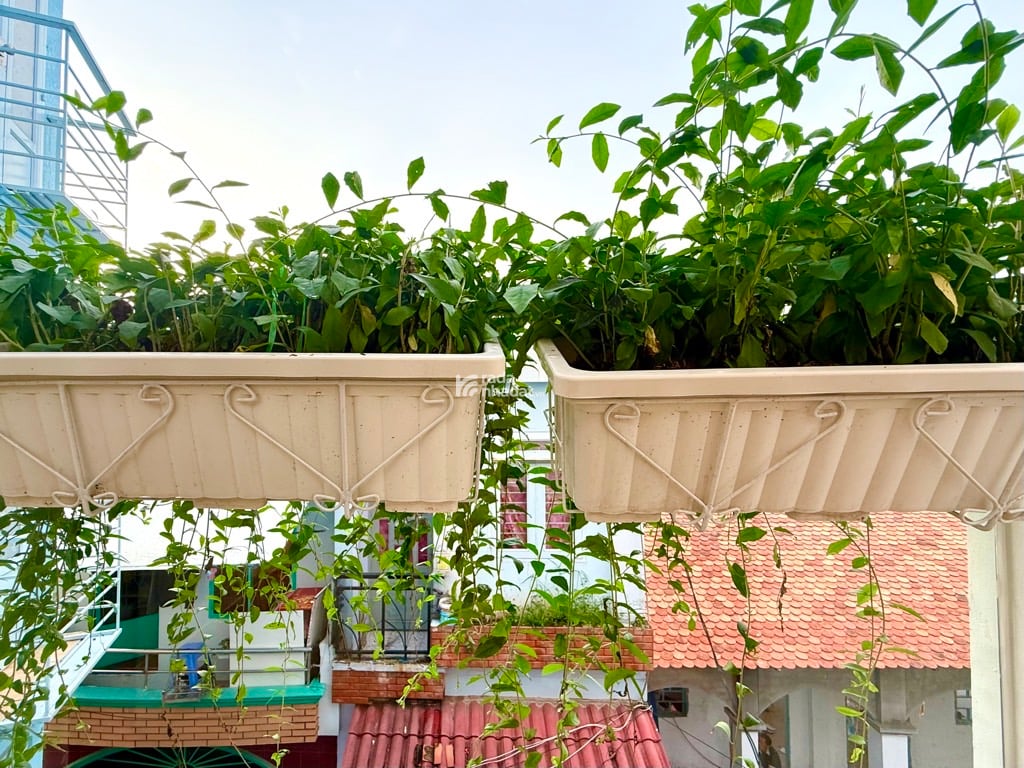 Bán nhà mới xinh Duy Tân, 5PN, full nội thất, nhỉnh 6 tỷ, ở ngay.