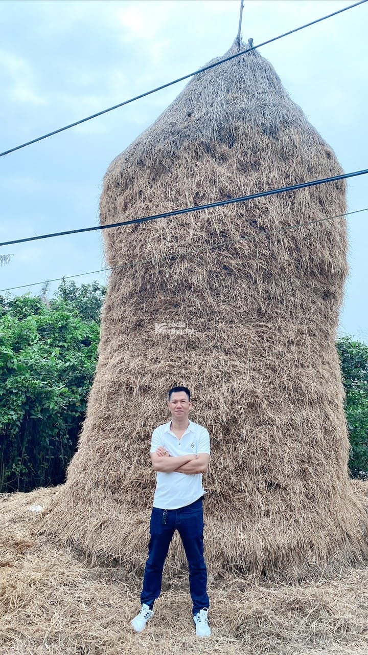 gò vấp đất bán gần 100m2, nhỉnh 6T