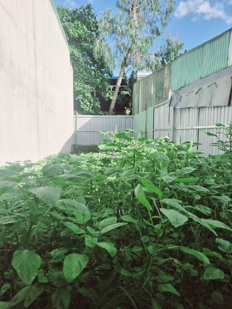 HẺM XE HƠI BÌNH LONG, TÂN PHÚ, 58M2 ĐẤT TRỐNG HIẾM CÓ. GIẢM 450TR CHỈ CÒN 5.5T TL TỐT