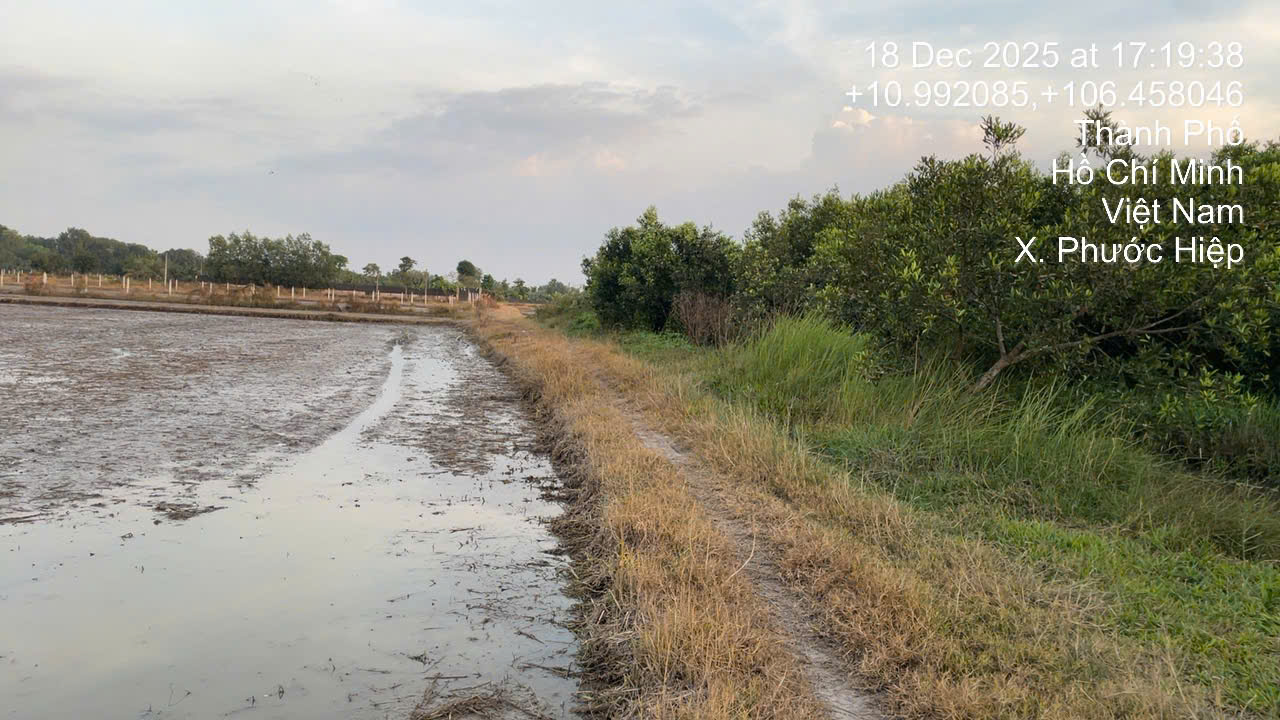 Bán Đất hẻm giáp Quốc Lộ 22 - xã phước hiệp - củ chi