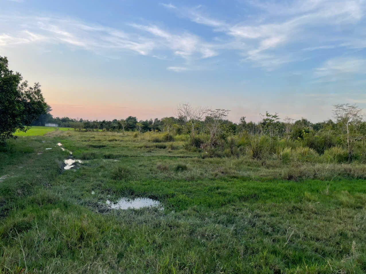 Bán Đất hẻm giáp Quốc Lộ 22 - xã phước hiệp - củ chi