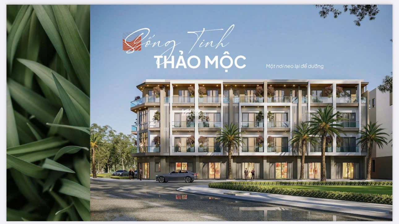 Ramond Urbaniz - Cơ hội cho các nhà đầu tư tại cực nam Hải Phòng