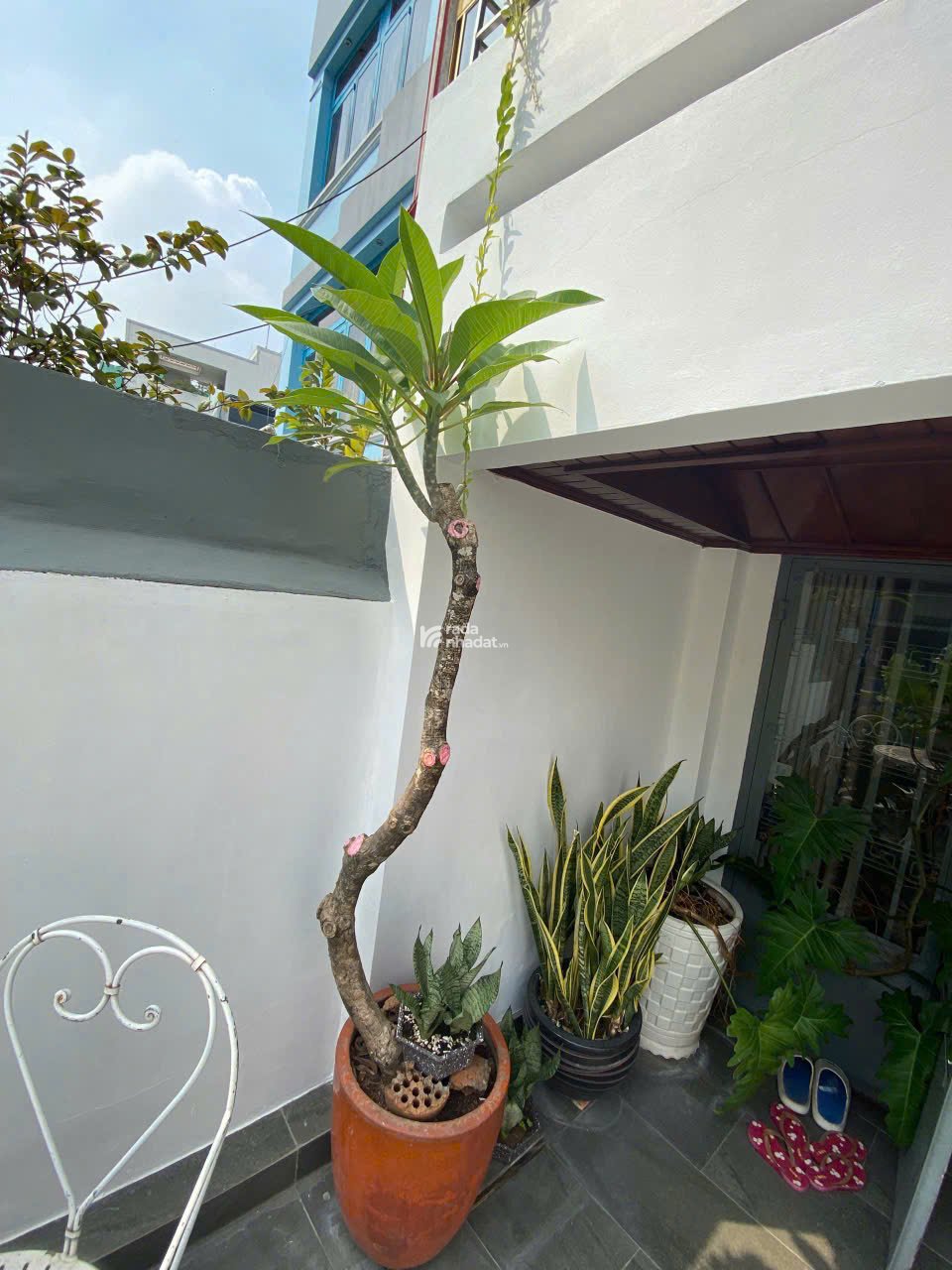 BÁN GẤP NHÀ MẶT TIỀN BÀ HẠT - 50m - 5 TẦNG -16 tỷ  