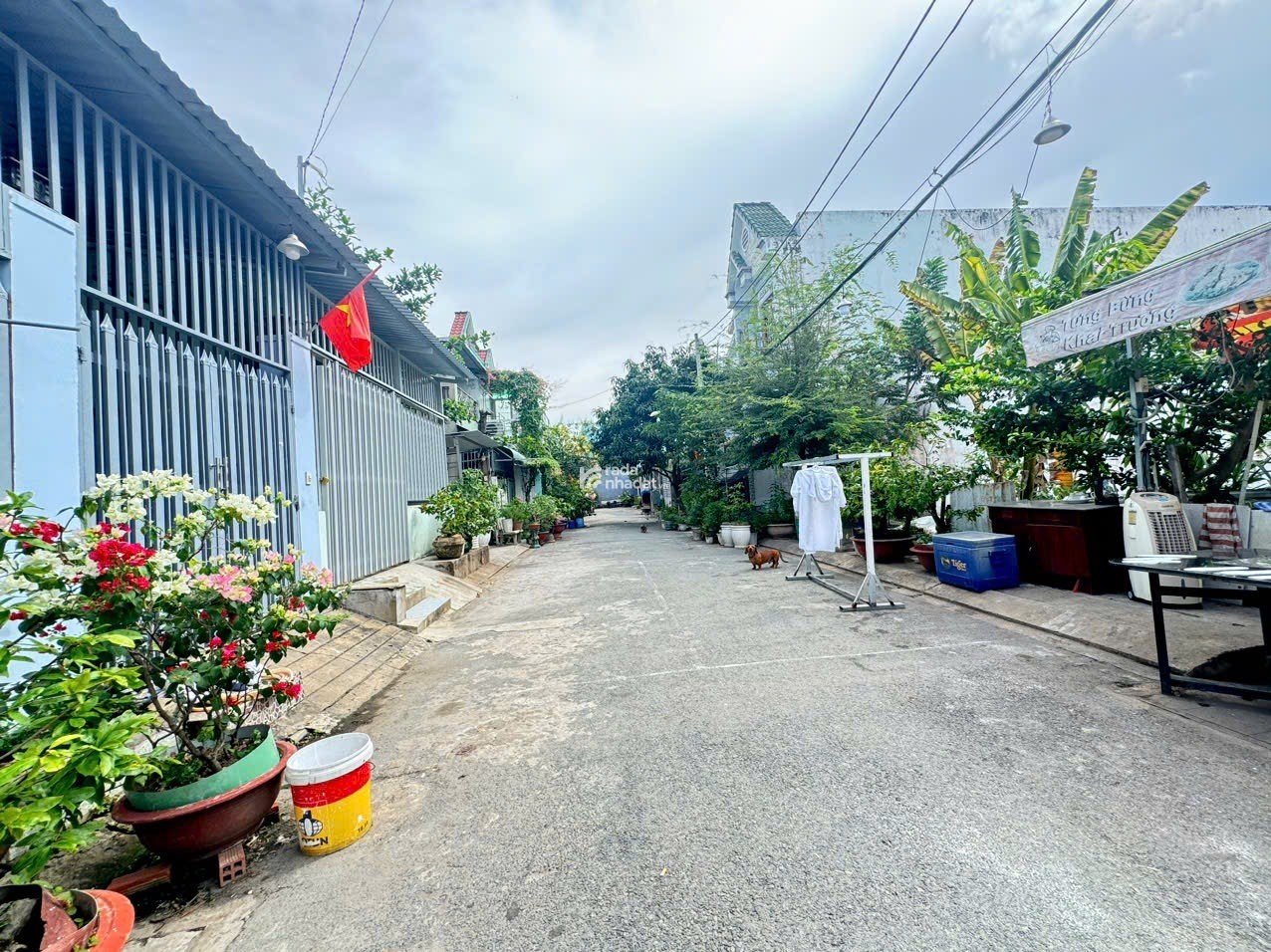 Đất Full thổ. Chỉ 30tr/m2 hẻm xe hơi, 149m2 thích hợp xây 4 tầng CHDV ngân hàng hỗ trợ. Chỉ 4,6tỷ