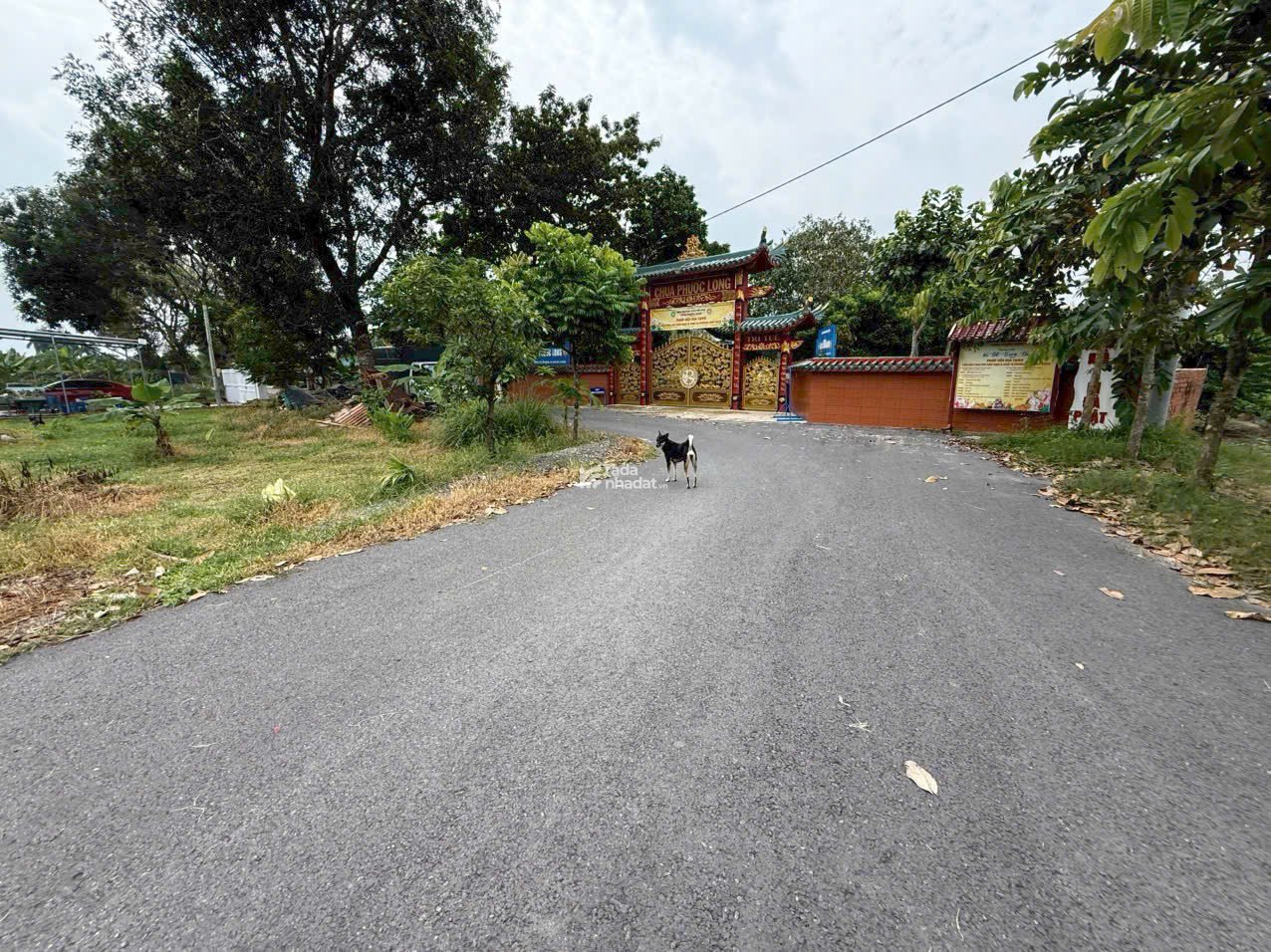 Bán lô đất góc 2 MT đường nhựa 10m , có 140m2 thổ cư