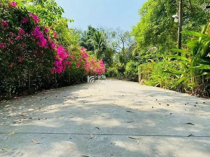 Bán đất biệt thự sân vườn 5000m2 giá chỉ 9 triệu/m2 tại Long Phước Q9