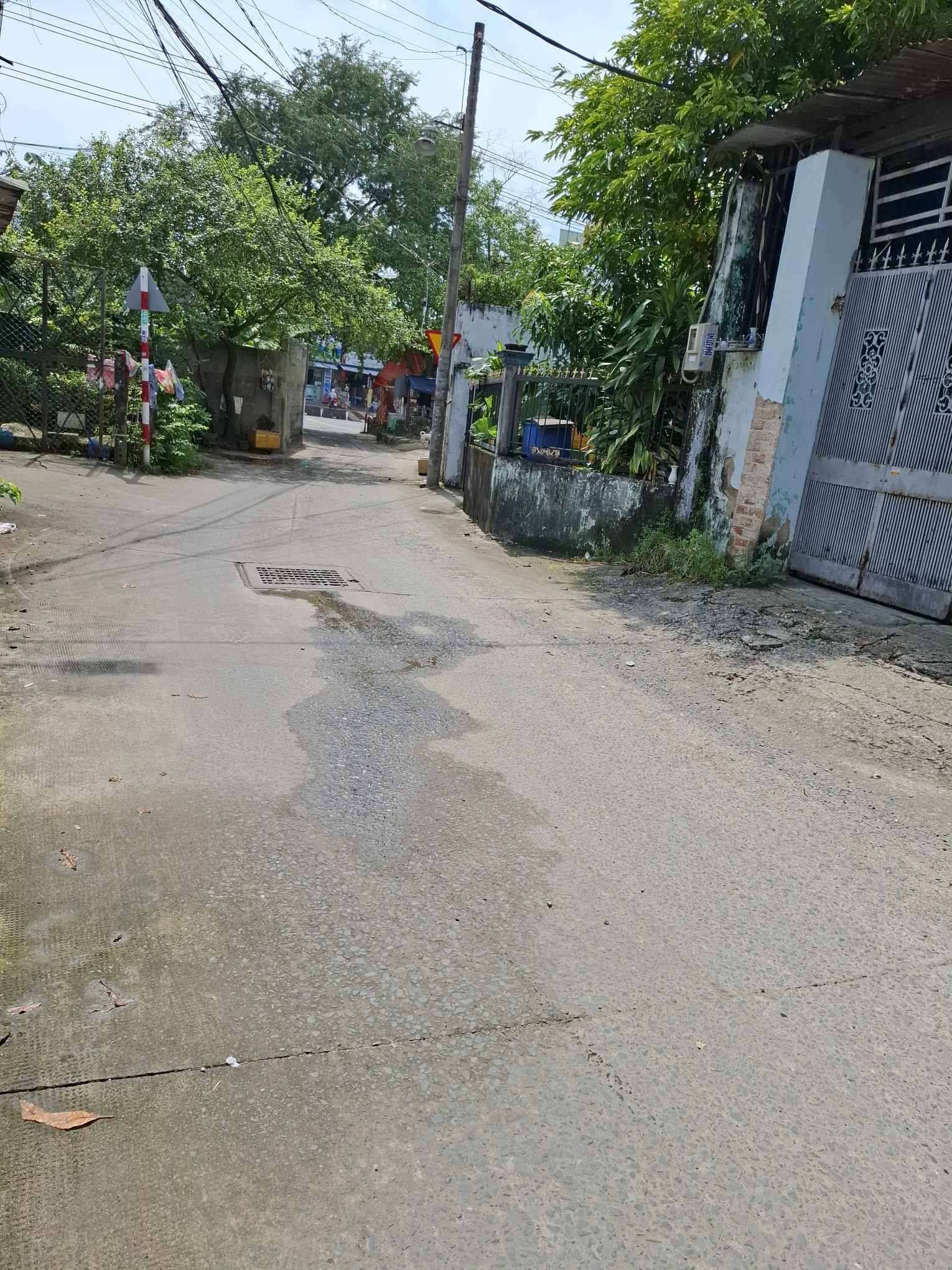 BÁN GẤP NHÀ XƯỞNG 264M2 - NGAY ĐẶNG THÚC VỊNH - HÓC MÔN- GIÁ CHỈ 24.6 TRIỆU/M2