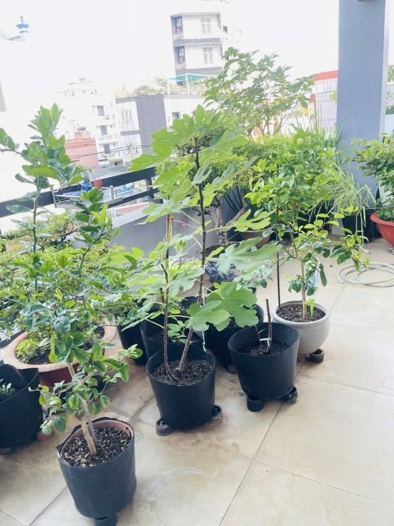 HXH THOẠI NGỌC HẦU, TÂN PHÚ, CHUẨN 73M2 HIẾM CÓ. GIẢM 550TR CHỈ CÒN 14T TL TỐT