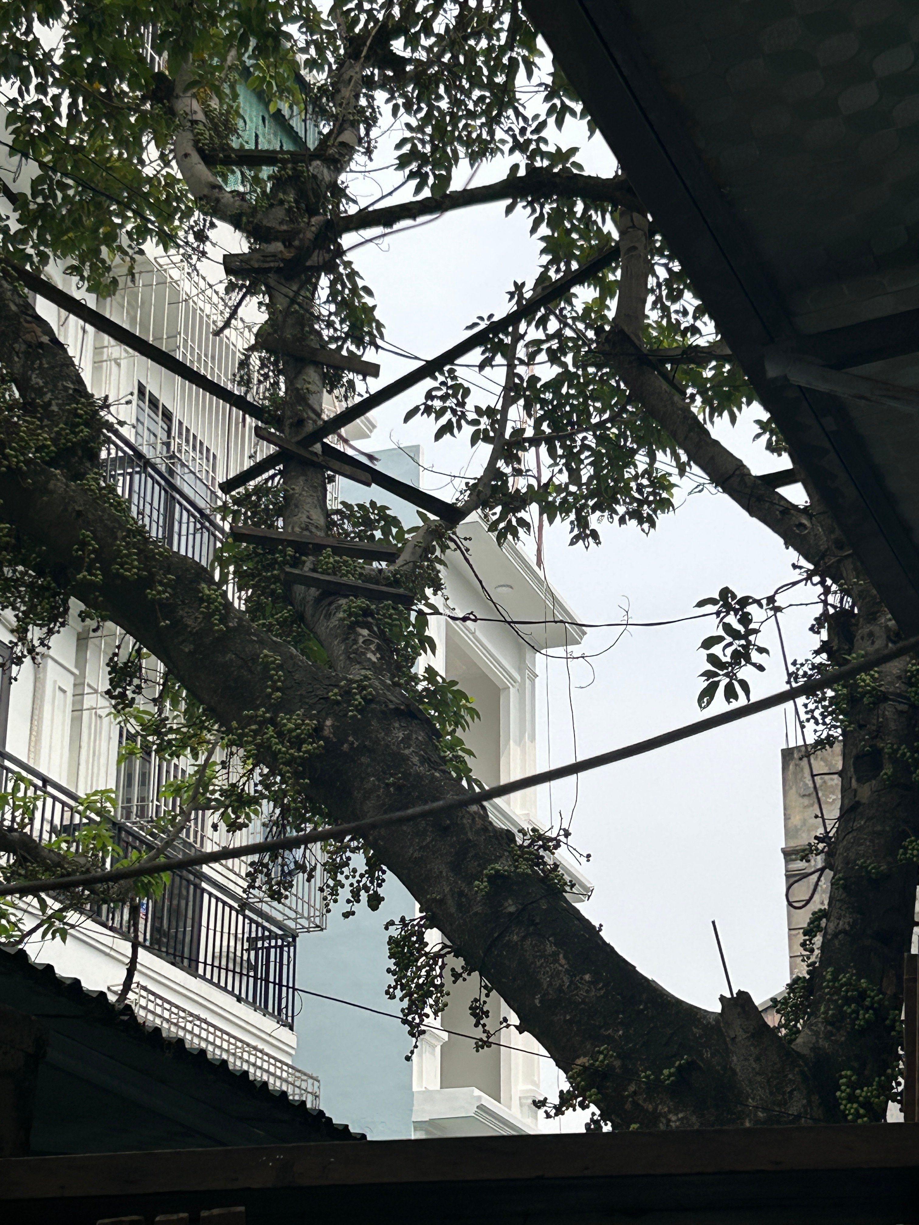 Bán nhà Tây Mỗ - 39m2 - Thang máy - Nhà mới đẹp