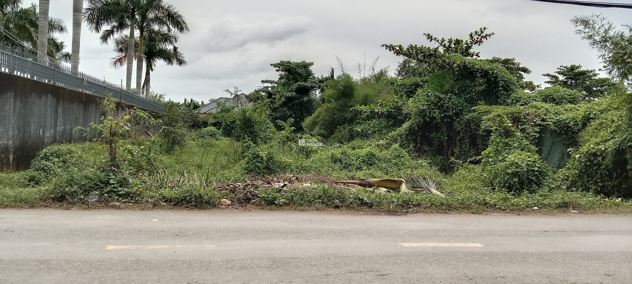 Bán đất quận 9  mặt tiền đường Long Phước gần -Vinhomes Grand Park quận 9 -915m2 sổ đỏ chính chủ 