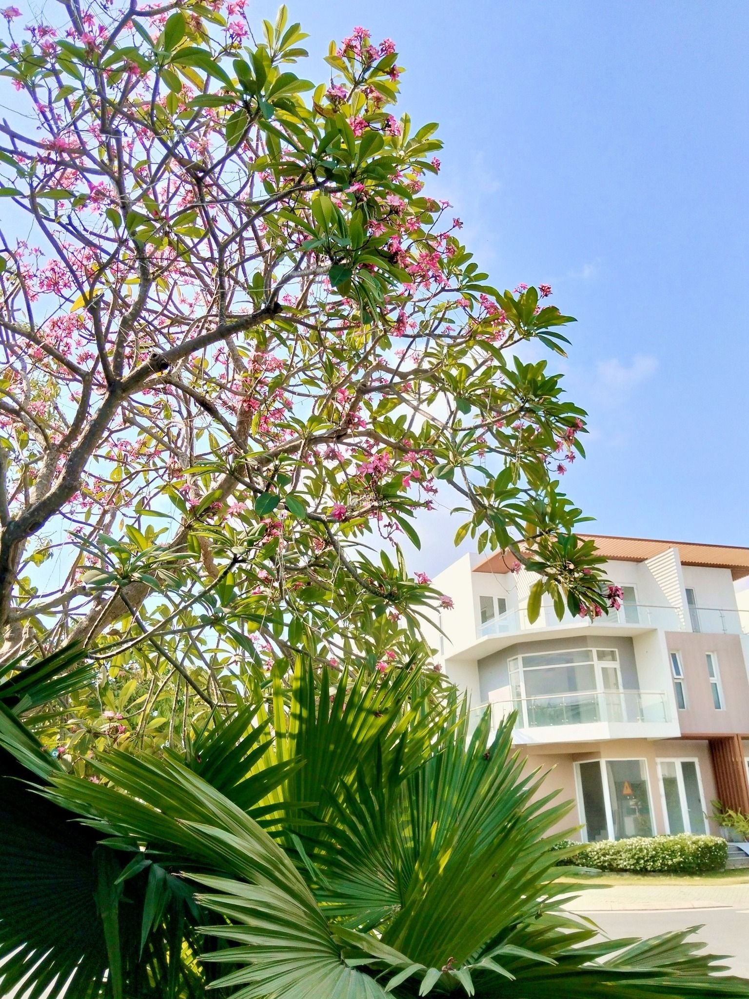 Duy nhất 1 căn gốc đẹp giá tốt - nhận full chiết khấu 25,8% - nhận nhà vận hành ngay
