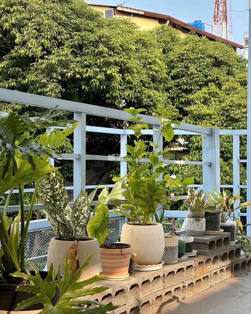 CHO THUÊ MẶT TIỀN NGUYỄN VĂN THỦ - TRUNG TÂM ĐA KAO QUẬN 1