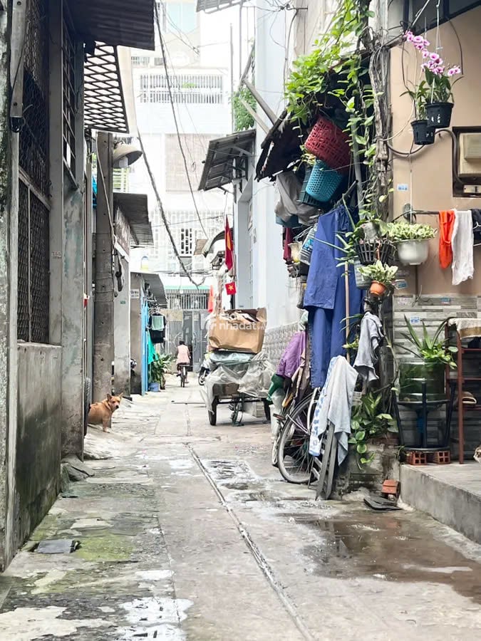 Nhà Chế Lan Viên, 48m2, 2 tầng, chỉ 4 tỷ TL, nhà ở ngay, SHR