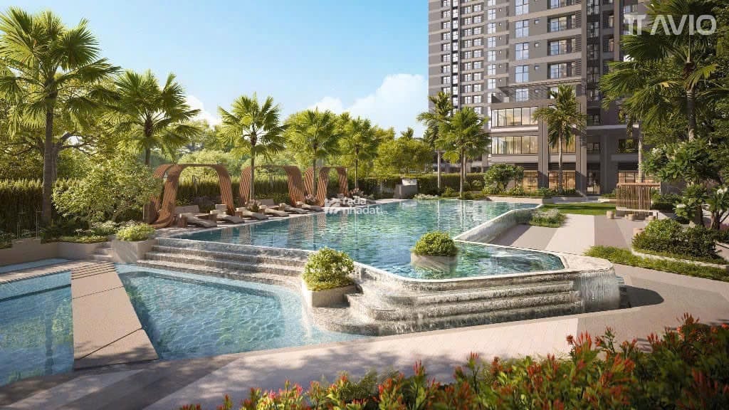 TT Avio BOOKING BAO NHIÊU ƯU ĐÃI BẤY NHIÊU