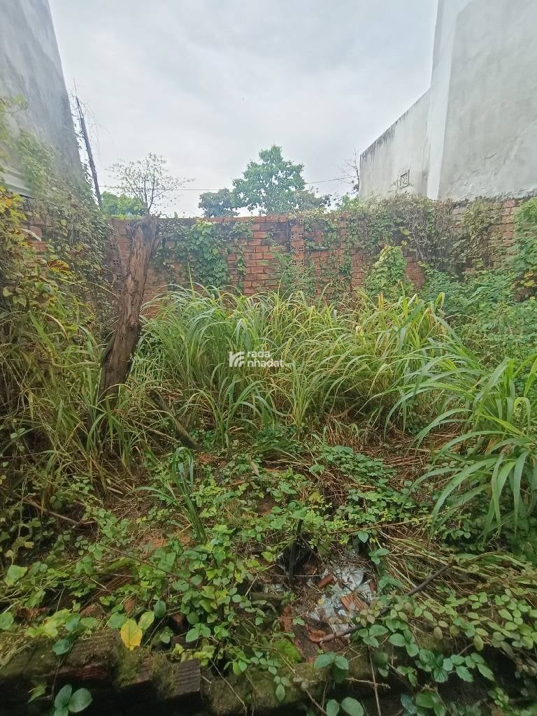 HIẾM, BÁN ĐẤT TẶNG NHÀ C4 HXH ĐƯỜNG PHƯỚC THIỆN CẠNH VINHOMES Q9 63M  NGANG 5 CHỈ 4.X TỶ (TLCC)