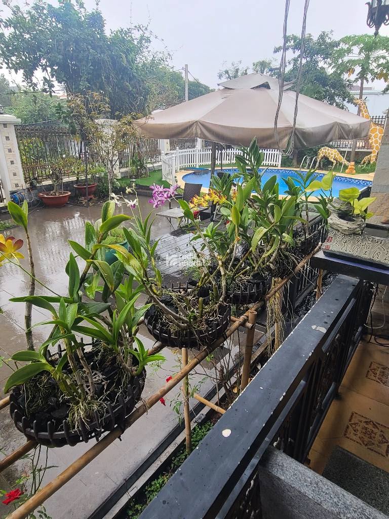 BIỆT THỰ - P. THẢO ĐIỀN, QUẬN 2 - NGUYỄN VĂN HƯỞNG- DT: 501M2- 308 TỶ