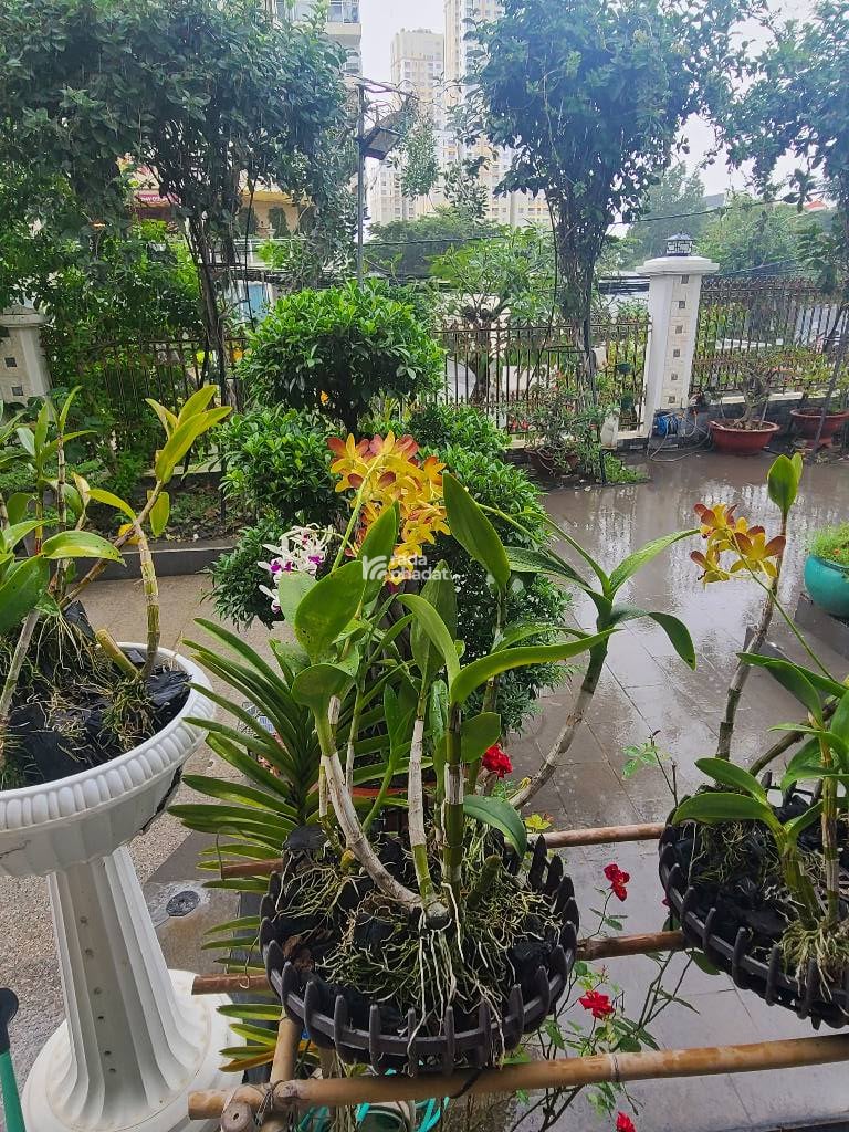 BIỆT THỰ - P. THẢO ĐIỀN, QUẬN 2 - NGUYỄN VĂN HƯỞNG- DT: 501M2- 308 TỶ