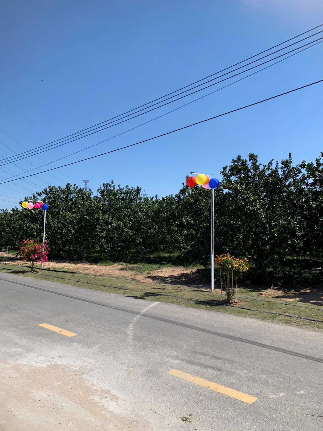 250m2 trừ văn thố tpHCM gần ngay trường học và chợ 