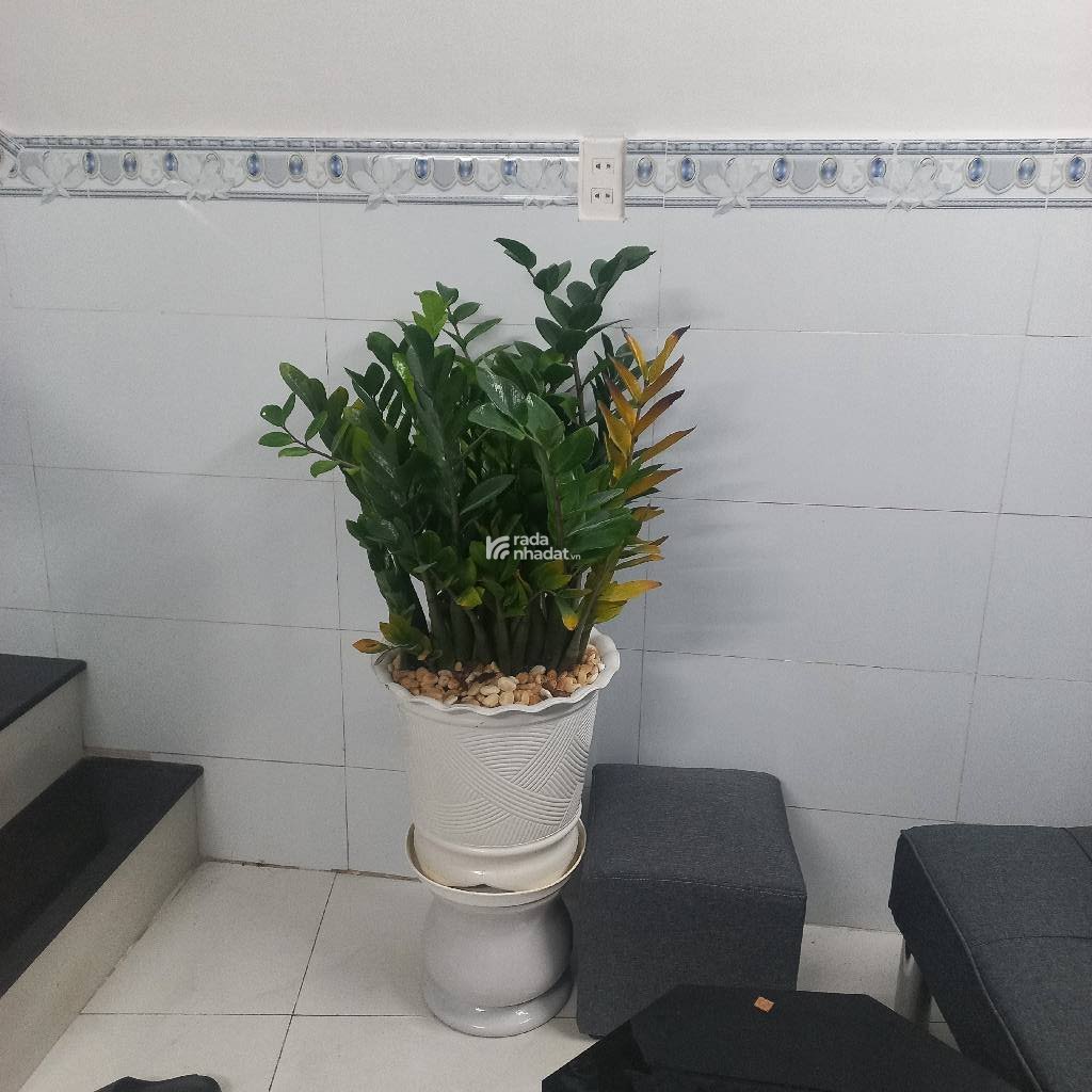 LÔ GÓC HẺM XE HƠI NGUYỄN BẶC, TÂN BÌNH, 50M2 CÓ KC Ở NGAY. GIẢM 350TR CHỈ CÒN 2.8T TL 