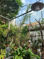 24/7: HOT BÁN NHÀ HXH THÍCH QUẢNG ĐỨC,P4, PN, ( 7X 25, 162M2), 170tr/m2