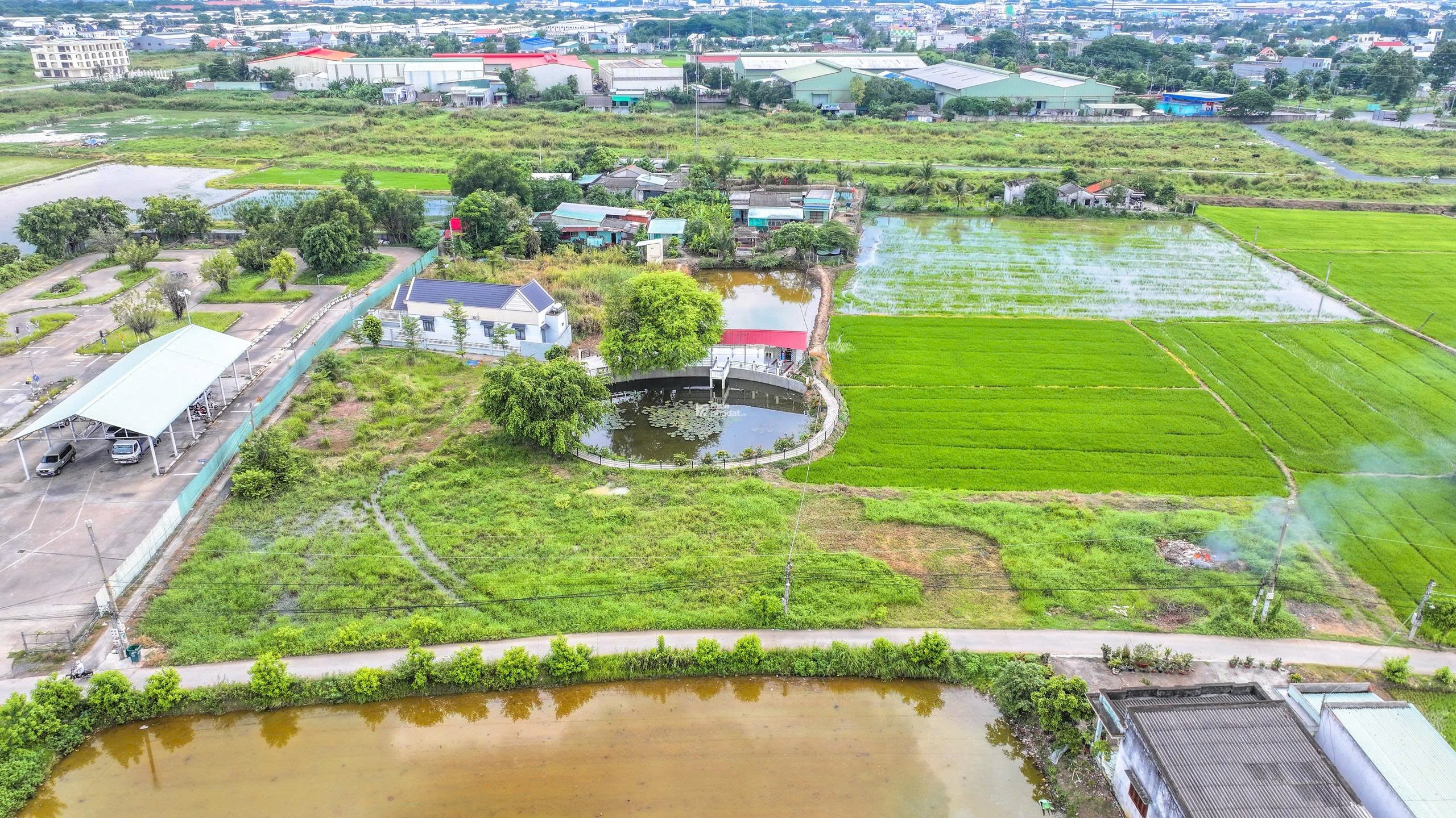 CƠ HỘI VÀNG SỞ HỮU ĐẤT TRUNG TÂM BẾN LỨC TRƯỚC KHI GIÁ TĂNG