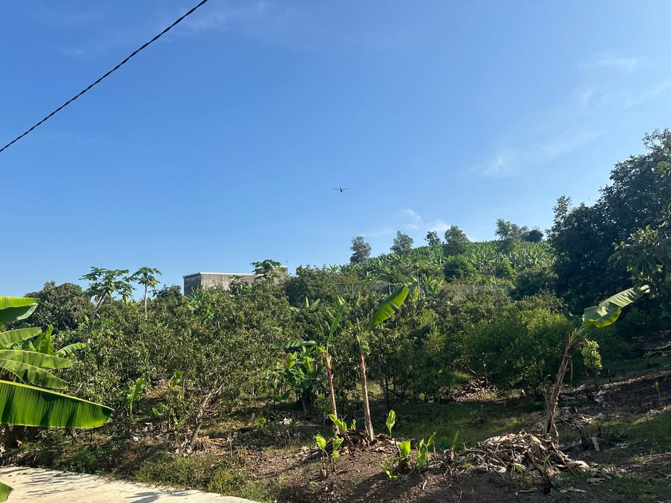 Giảm Sâu 200 Triệu Cho Lô Đất Vườn 1.081m2 View Trực Diện Hồ Trị An, Đường Nhựa Ô Tô