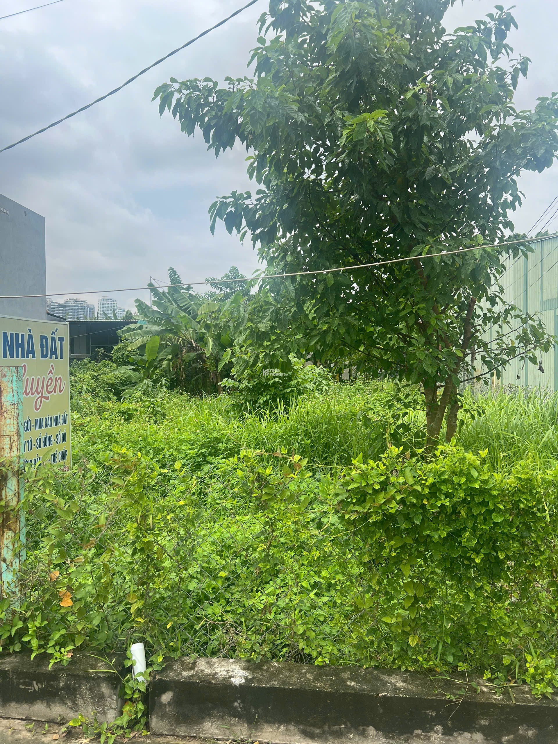 Đất full thổ cư diện tích 217m2 giá 9 tỷ