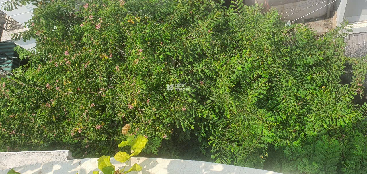 HOT: BÁN NHÀ 420/ HUỲNH VĂN BÁNH, PHƯỜNG 14 QUẬN PHÚ NHUẬN