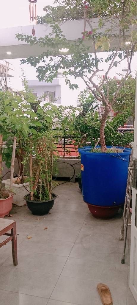  Diện túch ngang 3m6 x 16 m công nhận 55.8m2  Nhà kết cấu trệt 2 lầu sân thượng Nhà có phòng ngủ