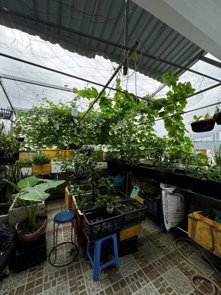 Cư xá Đô Thành - CHDV 8 phòng - hẻm xe hơi - 5 tầng BTCT - 40.5/43m2 - 9.x tỷ