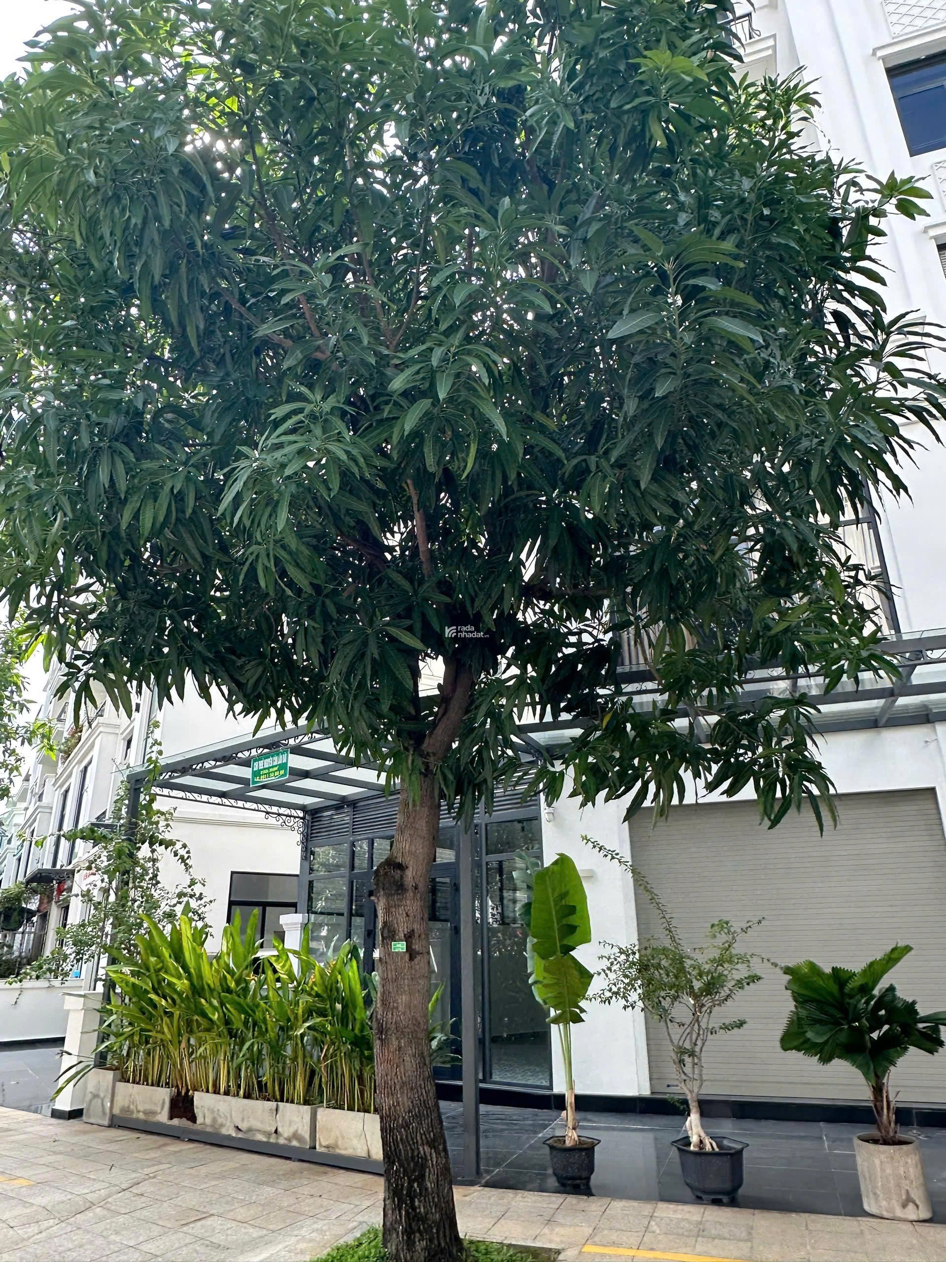 NHÀ PHỐ ĐÃ CÓ SỔ, DIỆN TÍCH LỚN, GIÁ BÁN NHANH CHỈ 21,5 TỶ